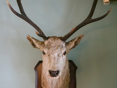 The Hunting Lodge Bar Aherlow