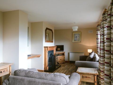 Scandanavian Lodge Living Room